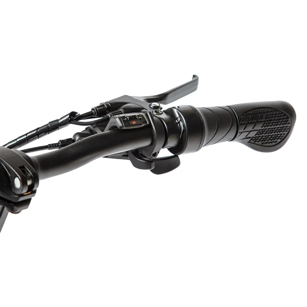 Электровелосипед INTRO Twist 250 черный 4